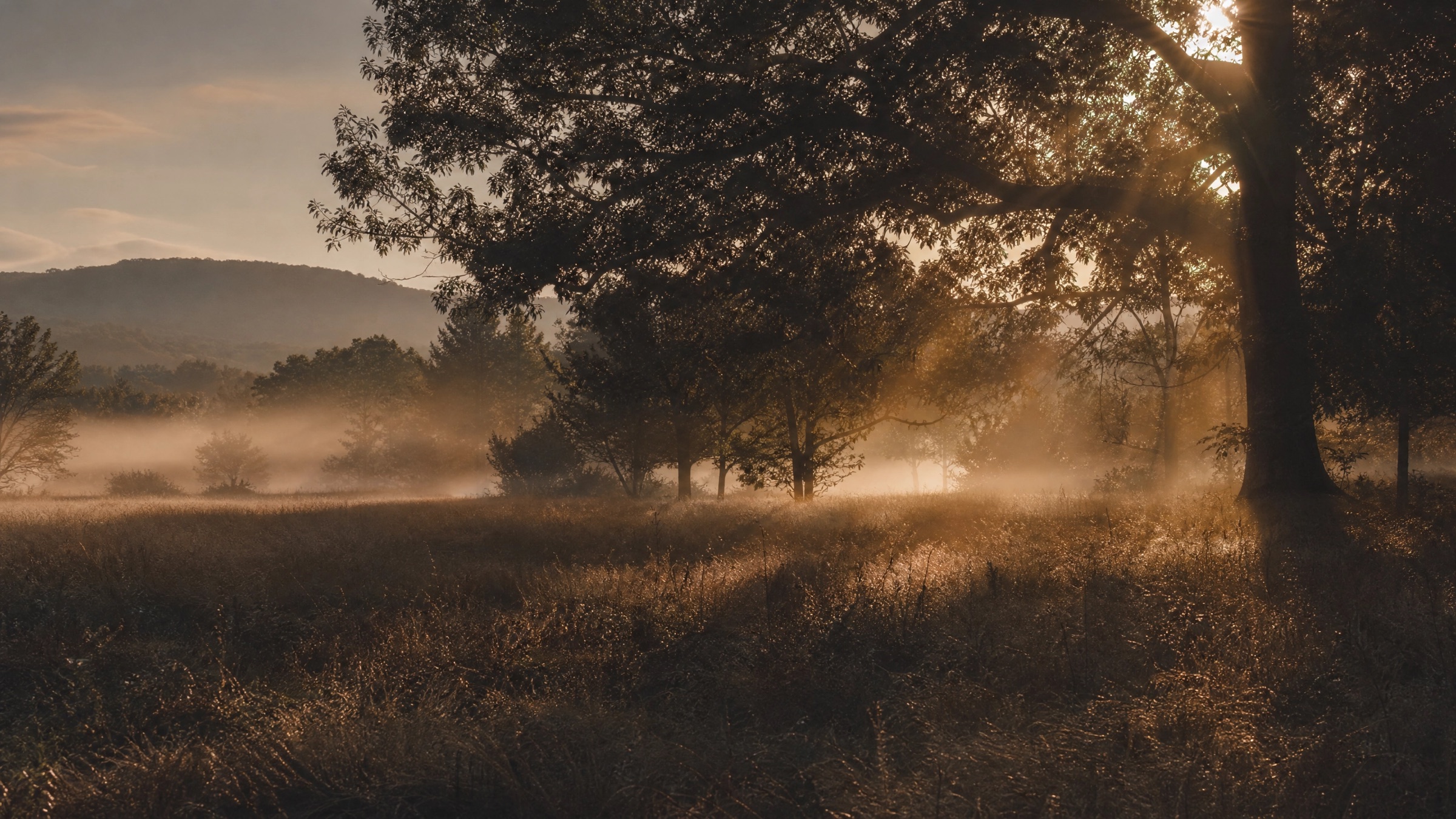 Morgenlicht — der Beginn
